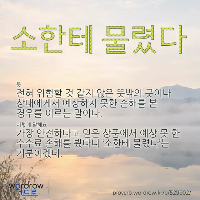 “소한테 물렸다” 글씨와 뜻·예문이 완성된 속담 영상 포스터