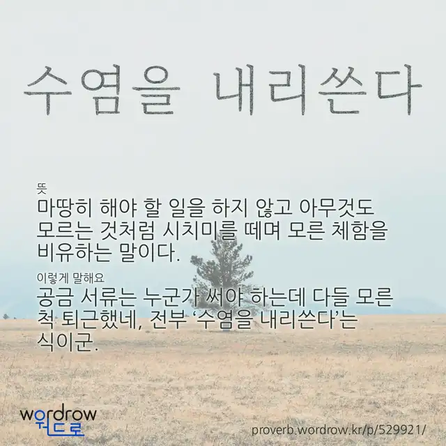 “수염을 내리쓴다” 글씨와 뜻·예문이 완성된 속담 영상 포스터