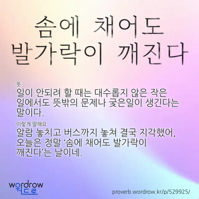 “솜에 채어도 발가락이 깨진다” 글씨와 뜻·예문이 완성된 속담 영상 포스터