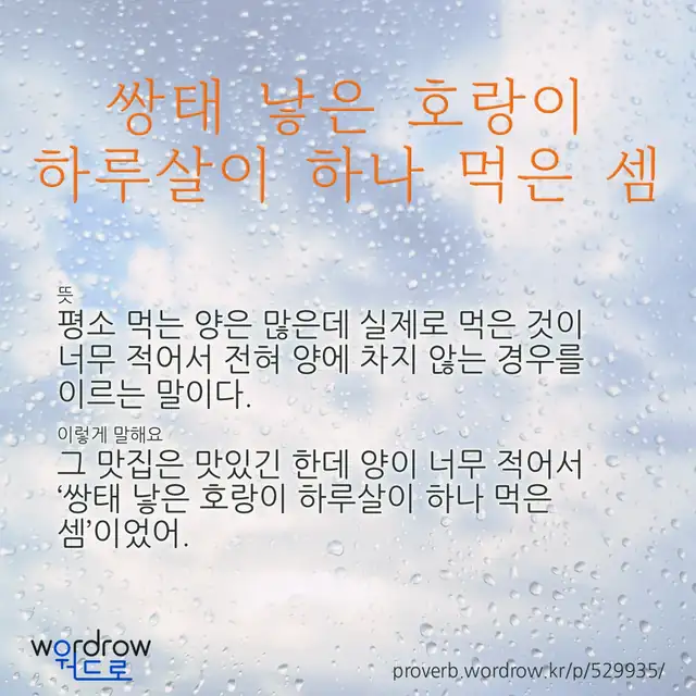 “쌍태 낳은 호랑이 하루살이 하나 먹은 셈” 글씨와 뜻·예문이 완성된 속담 영상 포스터