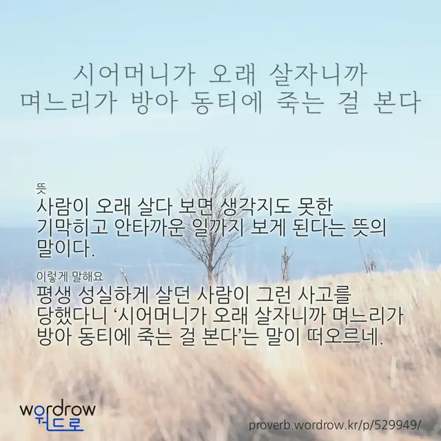 “시어머니가 오래 살자니까 며느리가 방아 동티에 죽는 걸 본다” 글씨와 뜻·예문이 완성된 속담 영상 포스터