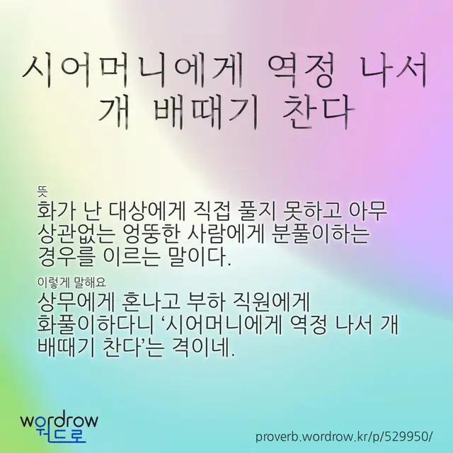 “시어머니에게 역정 나서 개 배때기 찬다” 글씨와 뜻·예문이 완성된 속담 영상 포스터