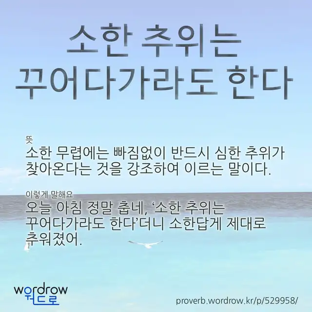 “소한 추위는 꾸어다가라도 한다” 글씨와 뜻·예문이 완성된 속담 영상 포스터