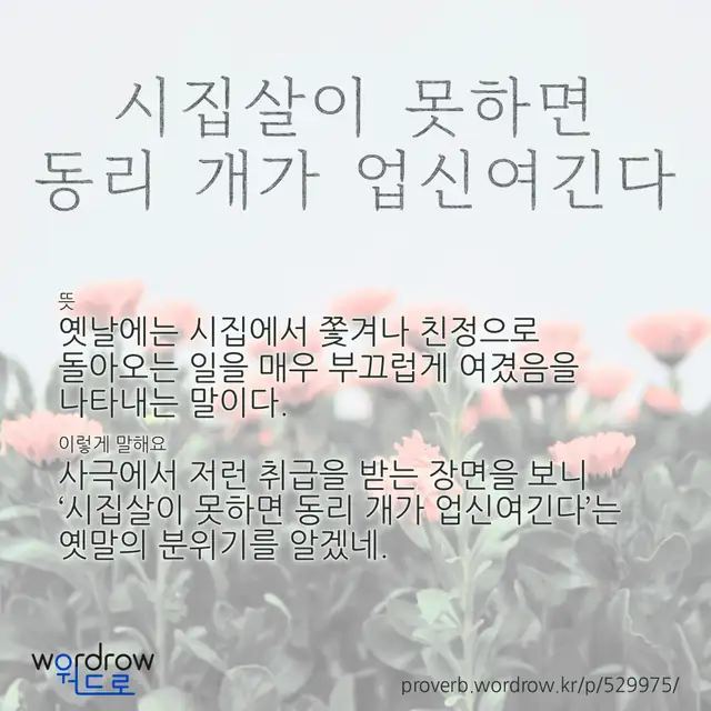 “시집살이 못하면 동리 개가 업신여긴다” 글씨와 뜻·예문이 완성된 속담 영상 포스터