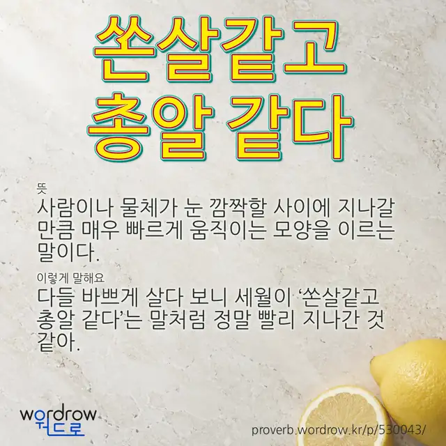 “쏜살같고 총알 같다” 글씨와 뜻·예문이 완성된 속담 영상 포스터