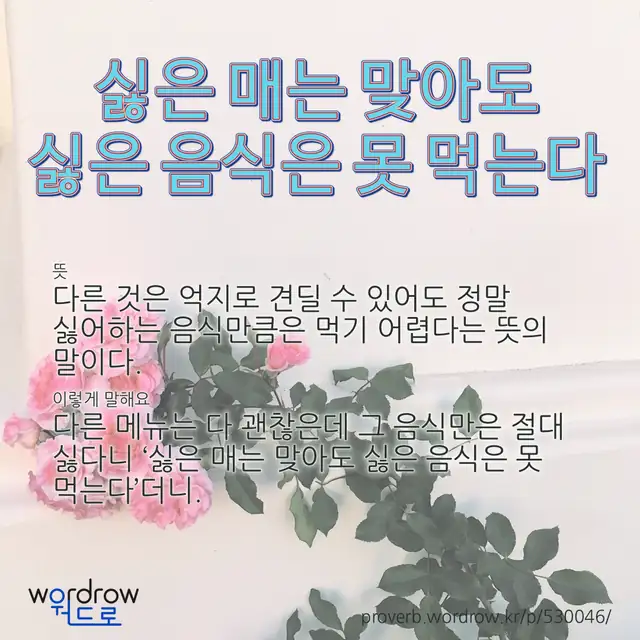 “싫은 매는 맞아도 싫은 음식은 못 먹는다” 글씨와 뜻·예문이 완성된 속담 영상 포스터