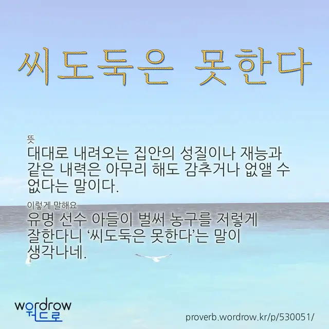 “씨도둑은 못한다” 글씨와 뜻·예문이 완성된 속담 영상 포스터