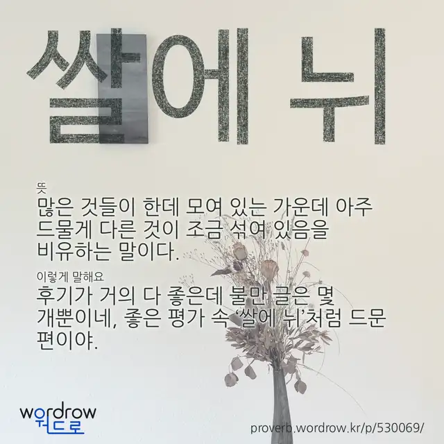 “쌀에 뉘” 글씨와 뜻·예문이 완성된 속담 영상 포스터