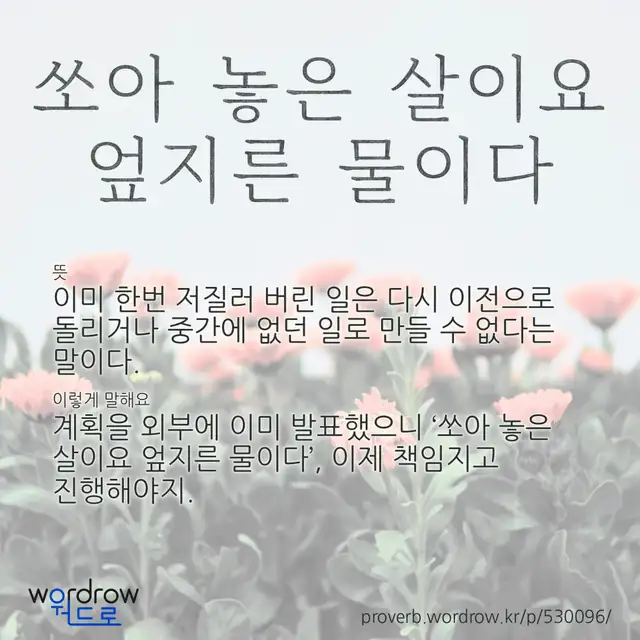 “쏘아 놓은 살이요 엎지른 물이다” 글씨와 뜻·예문이 완성된 속담 영상 포스터