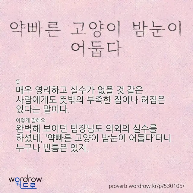 “약빠른 고양이 밤눈이 어둡다” 글씨와 뜻·예문이 완성된 속담 영상 포스터