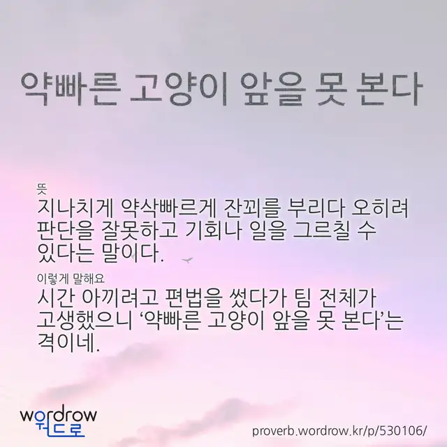 “약빠른 고양이 앞을 못 본다” 글씨와 뜻·예문이 완성된 속담 영상 포스터