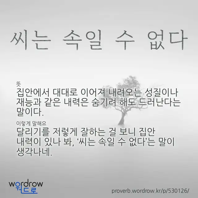 “씨는 속일 수 없다” 글씨와 뜻·예문이 완성된 속담 영상 포스터