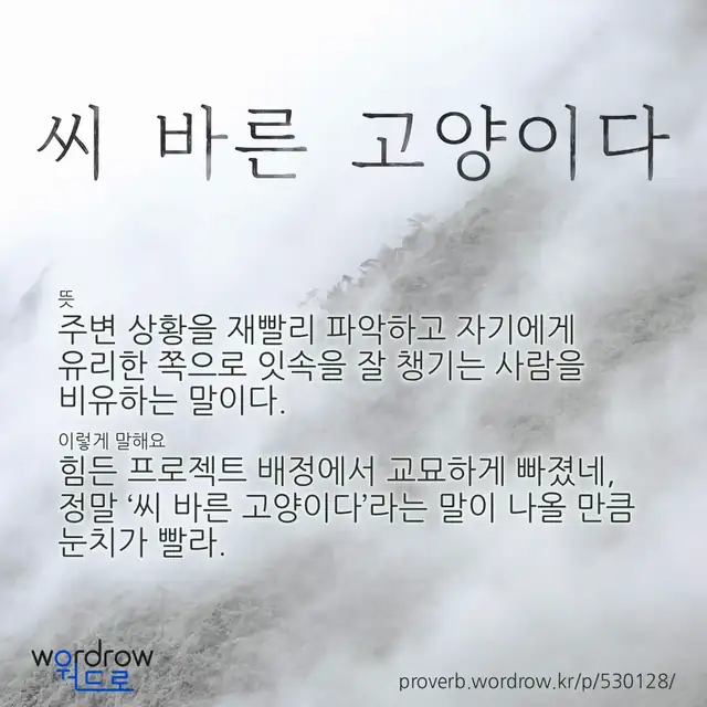 “씨 바른 고양이다” 글씨와 뜻·예문이 완성된 속담 영상 포스터