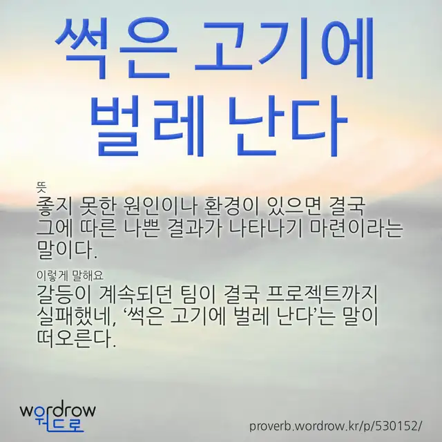 “썩은 고기에 벌레 난다” 글씨와 뜻·예문이 완성된 속담 영상 포스터