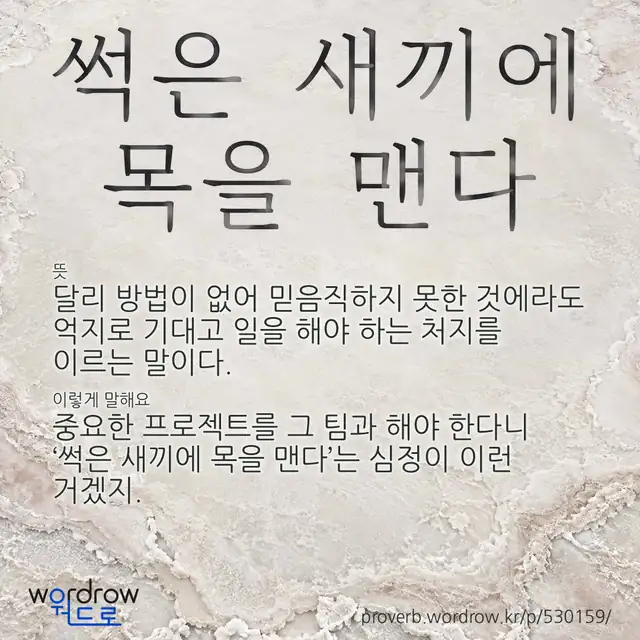 “썩은 새끼에 목을 맨다” 글씨와 뜻·예문이 완성된 속담 영상 포스터