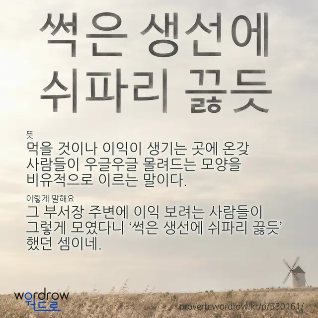 “썩은 생선에 쉬파리 끓듯” 글씨와 뜻·예문이 완성된 속담 영상 포스터
