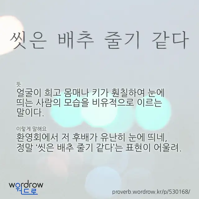 “씻은 배추 줄기 같다” 글씨와 뜻·예문이 완성된 속담 영상 포스터