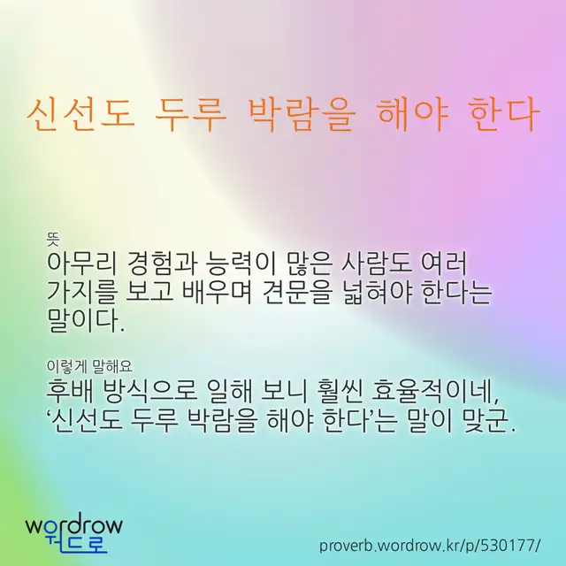 “신선도 두루 박람을 해야 한다” 글씨와 뜻·예문이 완성된 속담 영상 포스터