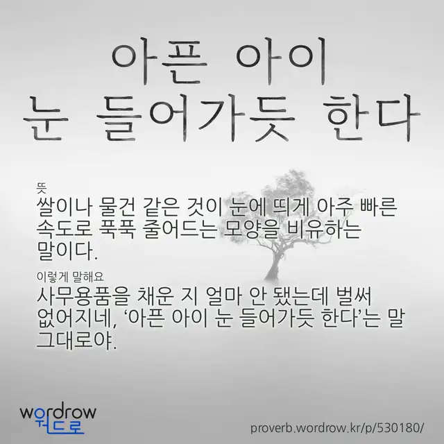 “아픈 아이 눈 들어가듯 한다” 글씨와 뜻·예문이 완성된 속담 영상 포스터