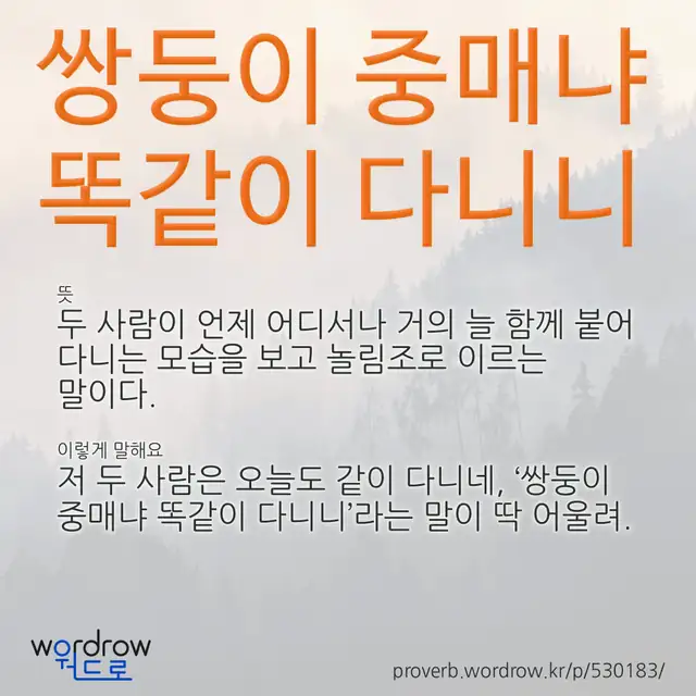 “쌍둥이 중매냐 똑같이 다니니” 글씨와 뜻·예문이 완성된 속담 영상 포스터