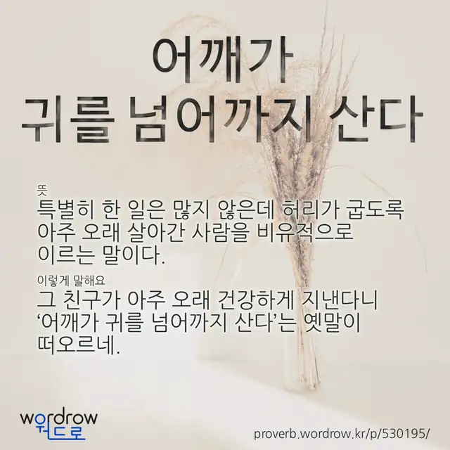 “어깨가 귀를 넘어까지 산다” 글씨와 뜻·예문이 완성된 속담 영상 포스터