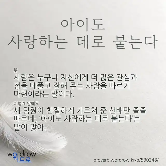 “아이도 사랑하는 데로 붙는다” 글씨와 뜻·예문이 완성된 속담 영상 포스터
