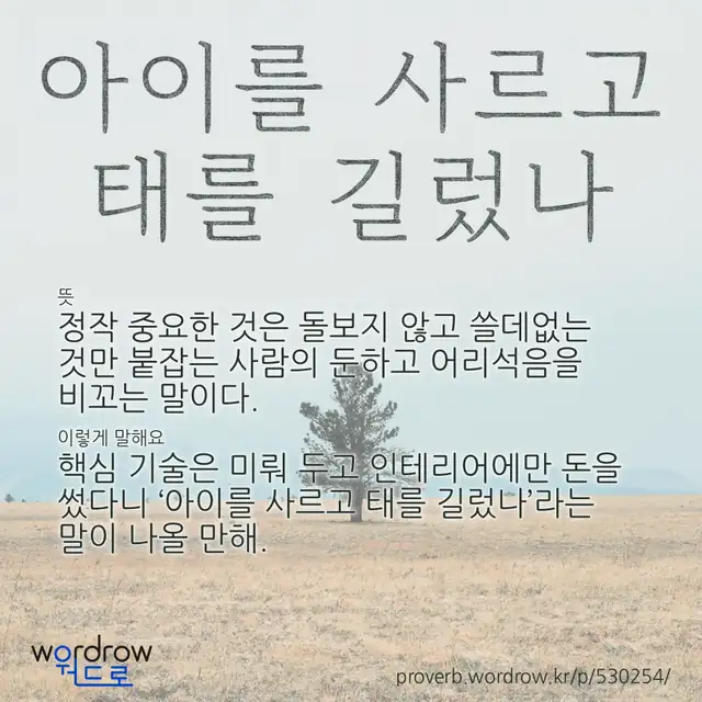 “아이를 사르고 태를 길렀나” 글씨와 뜻·예문이 완성된 속담 영상 포스터