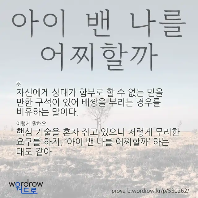 “아이 밴 나를 어찌할까” 글씨와 뜻·예문이 완성된 속담 영상 포스터