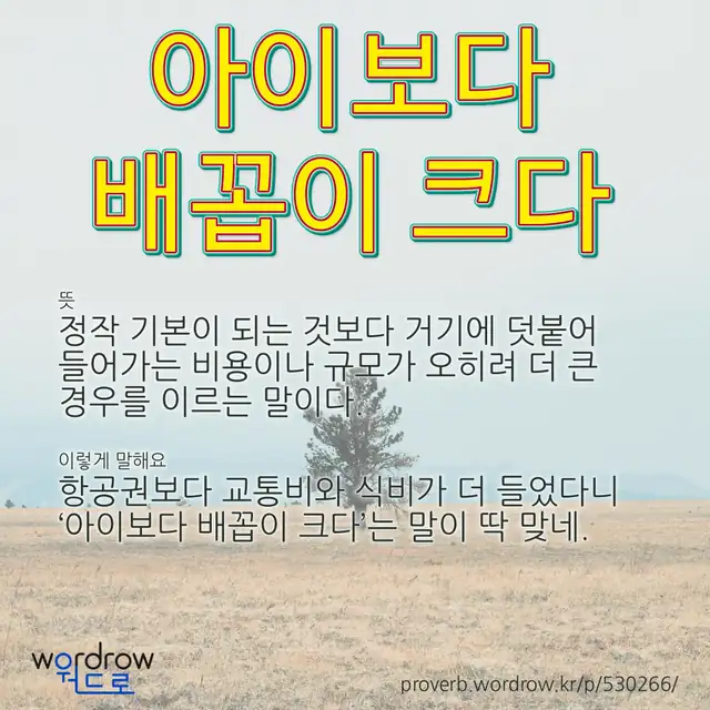 “아이보다 배꼽이 크다” 글씨와 뜻·예문이 완성된 속담 영상 포스터