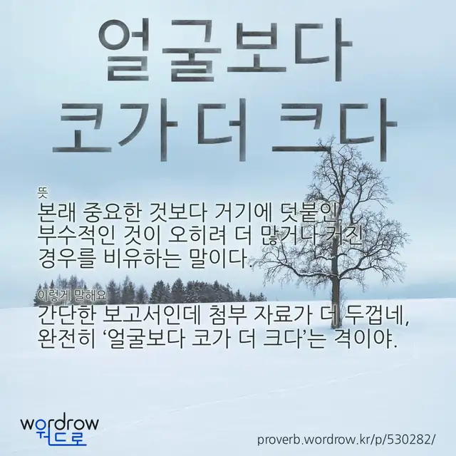 “얼굴보다 코가 더 크다” 글씨와 뜻·예문이 완성된 속담 영상 포스터