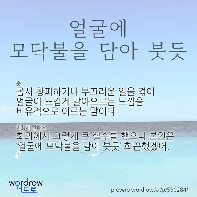 “얼굴에 모닥불을 담아 붓듯” 글씨와 뜻·예문이 완성된 속담 영상 포스터