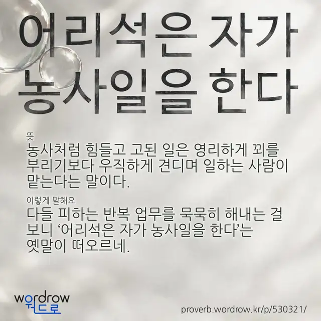 “어리석은 자가 농사일을 한다” 글씨와 뜻·예문이 완성된 속담 영상 포스터