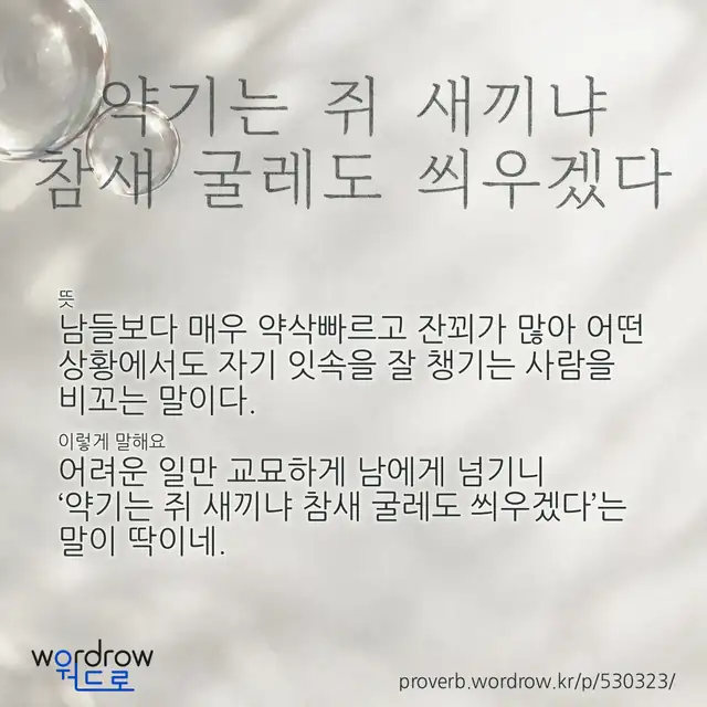“약기는 쥐 새끼냐 참새 굴레도 씌우겠다” 글씨와 뜻·예문이 완성된 속담 영상 포스터