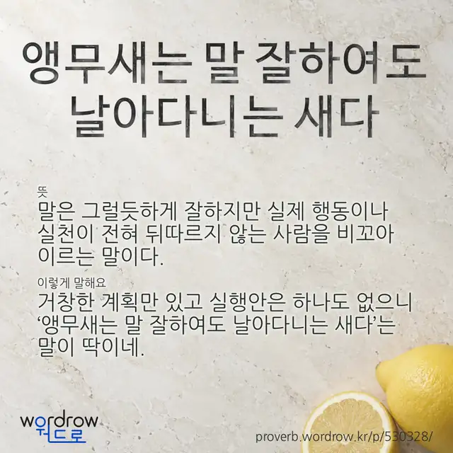 “앵무새는 말 잘하여도 날아다니는 새다” 글씨와 뜻·예문이 완성된 속담 영상 포스터