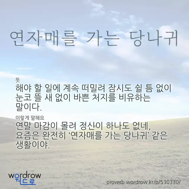 “연자매를 가는 당나귀” 글씨와 뜻·예문이 완성된 속담 영상 포스터