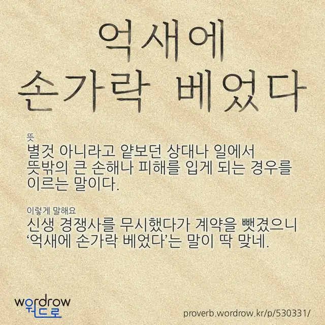 “억새에 손가락 베었다” 글씨와 뜻·예문이 완성된 속담 영상 포스터