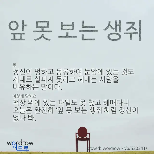 “앞 못 보는 생쥐” 글씨와 뜻·예문이 완성된 속담 영상 포스터