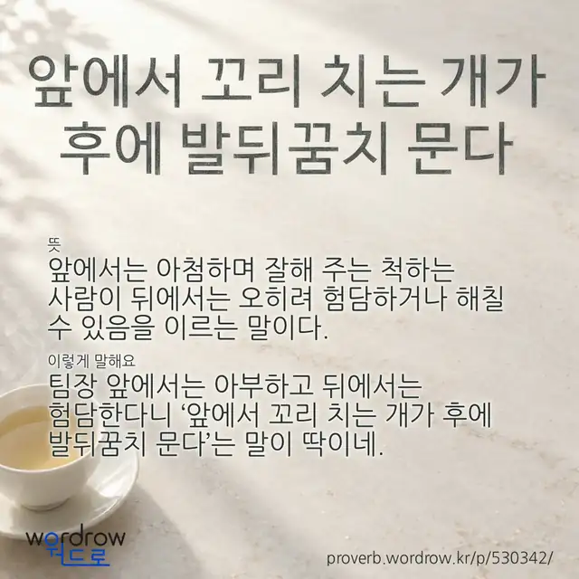 “앞에서 꼬리 치는 개가 후에 발뒤꿈치 문다” 글씨와 뜻·예문이 완성된 속담 영상 포스터