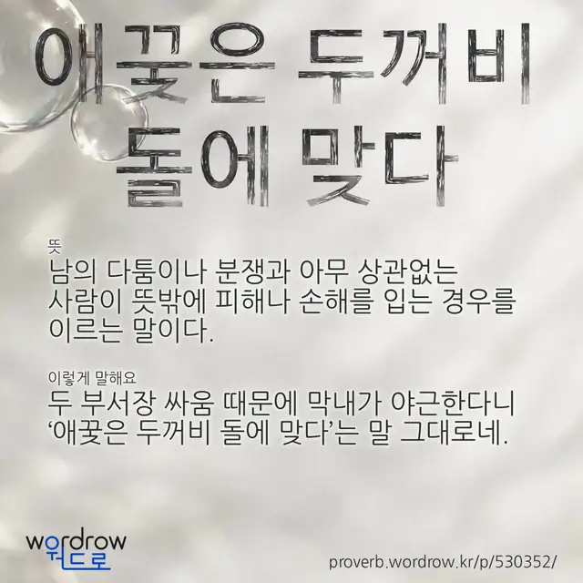 “애꿎은 두꺼비 돌에 맞다” 글씨와 뜻·예문이 완성된 속담 영상 포스터