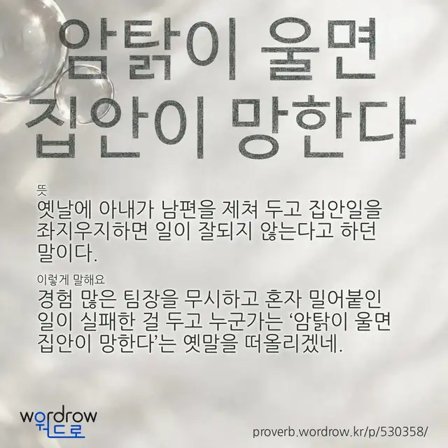 “암탉이 울면 집안이 망한다” 글씨와 뜻·예문이 완성된 속담 영상 포스터
