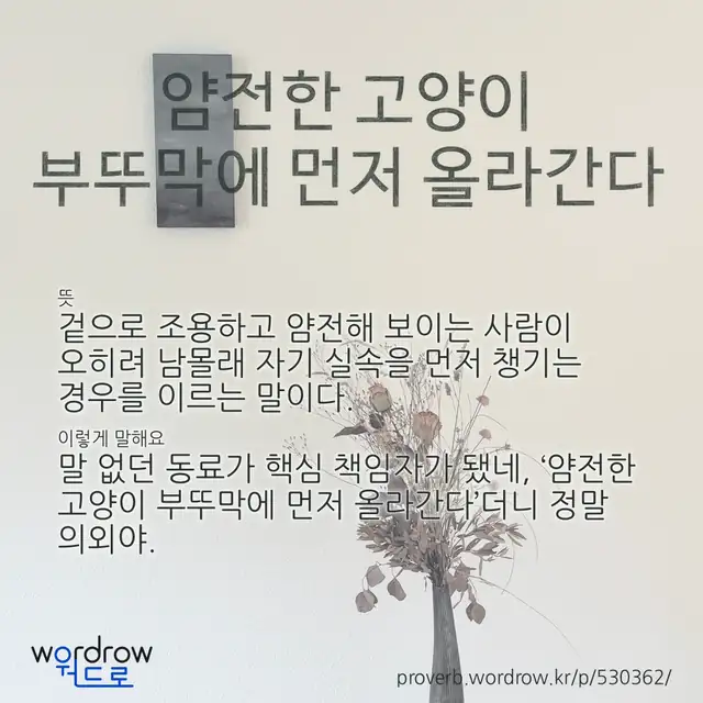 “얌전한 고양이 부뚜막에 먼저 올라간다” 글씨와 뜻·예문이 완성된 속담 영상 포스터