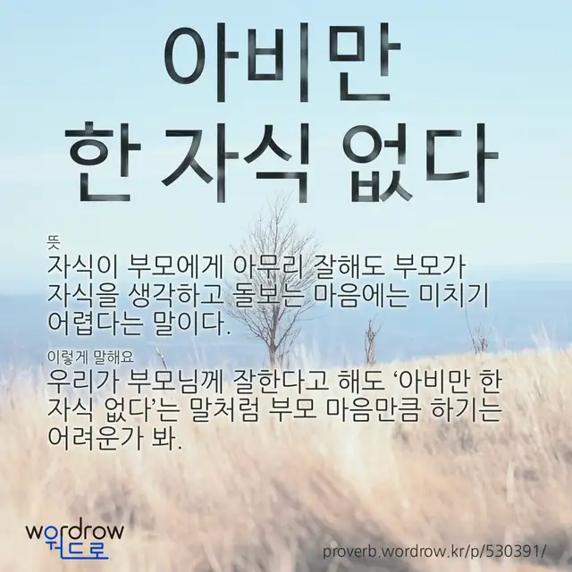“아비만 한 자식 없다” 글씨와 뜻·예문이 완성된 속담 영상 포스터