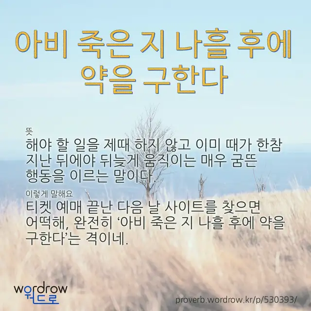 “아비 죽은 지 나흘 후에 약을 구한다” 글씨와 뜻·예문이 완성된 속담 영상 포스터