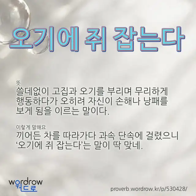 “오기에 쥐 잡는다” 글씨와 뜻·예문이 완성된 속담 영상 포스터