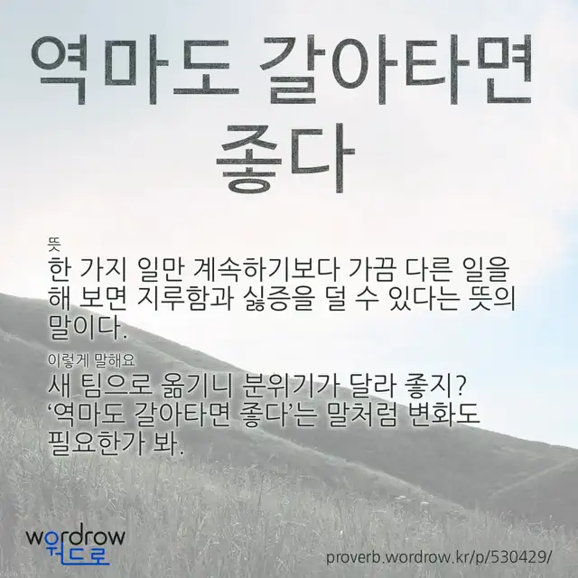 “역마도 갈아타면 좋다” 글씨와 뜻·예문이 완성된 속담 영상 포스터