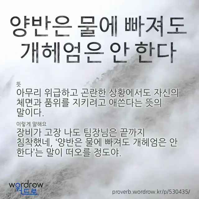 “양반은 물에 빠져도 개헤엄은 안 한다” 글씨와 뜻·예문이 완성된 속담 영상 포스터
