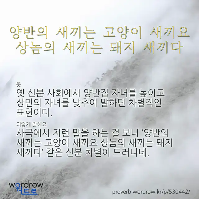 “양반의 새끼는 고양이 새끼요 상놈의 새끼는 돼지 새끼다” 글씨와 뜻·예문이 완성된 속담 영상 포스터
