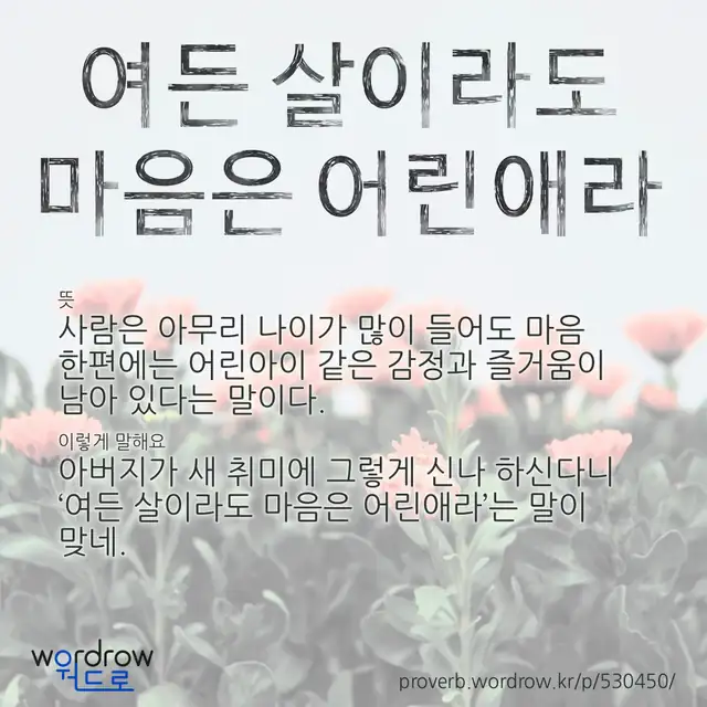 “여든 살이라도 마음은 어린애라” 글씨와 뜻·예문이 완성된 속담 영상 포스터
