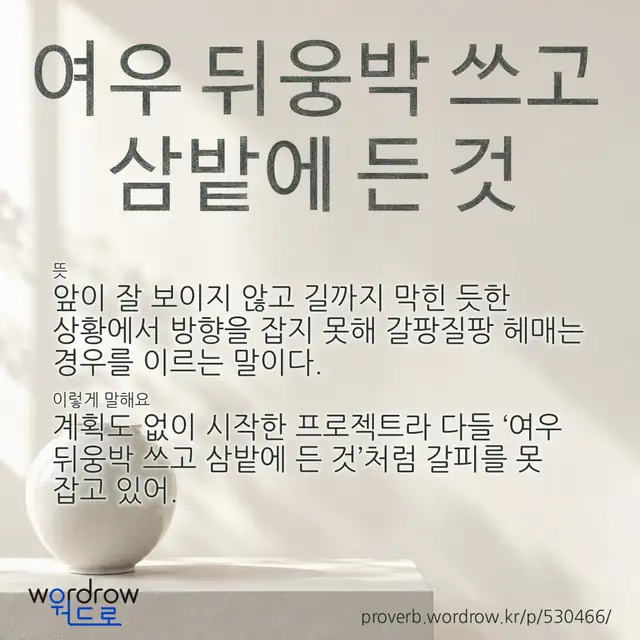 “여우 뒤웅박 쓰고 삼밭에 든 것” 글씨와 뜻·예문이 완성된 속담 영상 포스터