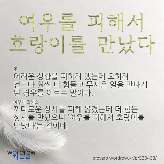 “여우를 피해서 호랑이를 만났다” 글씨와 뜻·예문이 완성된 속담 영상 포스터